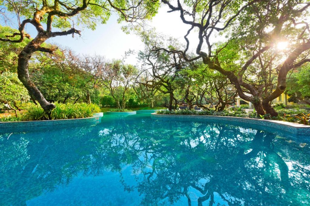 outdoor pool of the le meridien mahabaleshwar