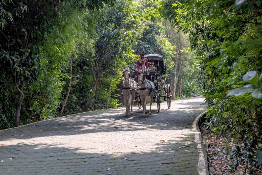 Aahana Resort Corbett Buggy Ride