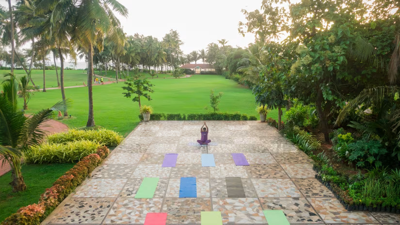 yard view image