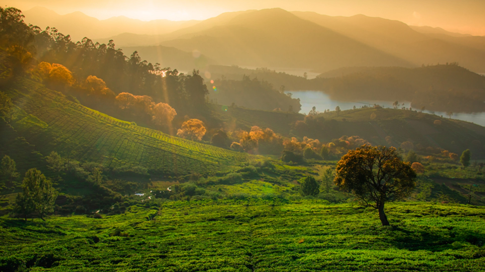 ooty hill stations